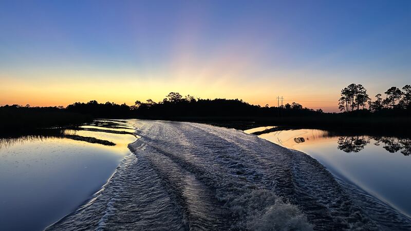 Random landscapes from Bay St. Louis, MS.