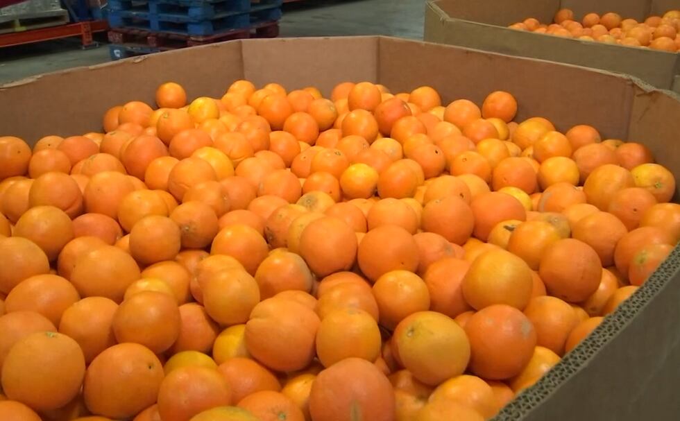 oranges make joosce when squished